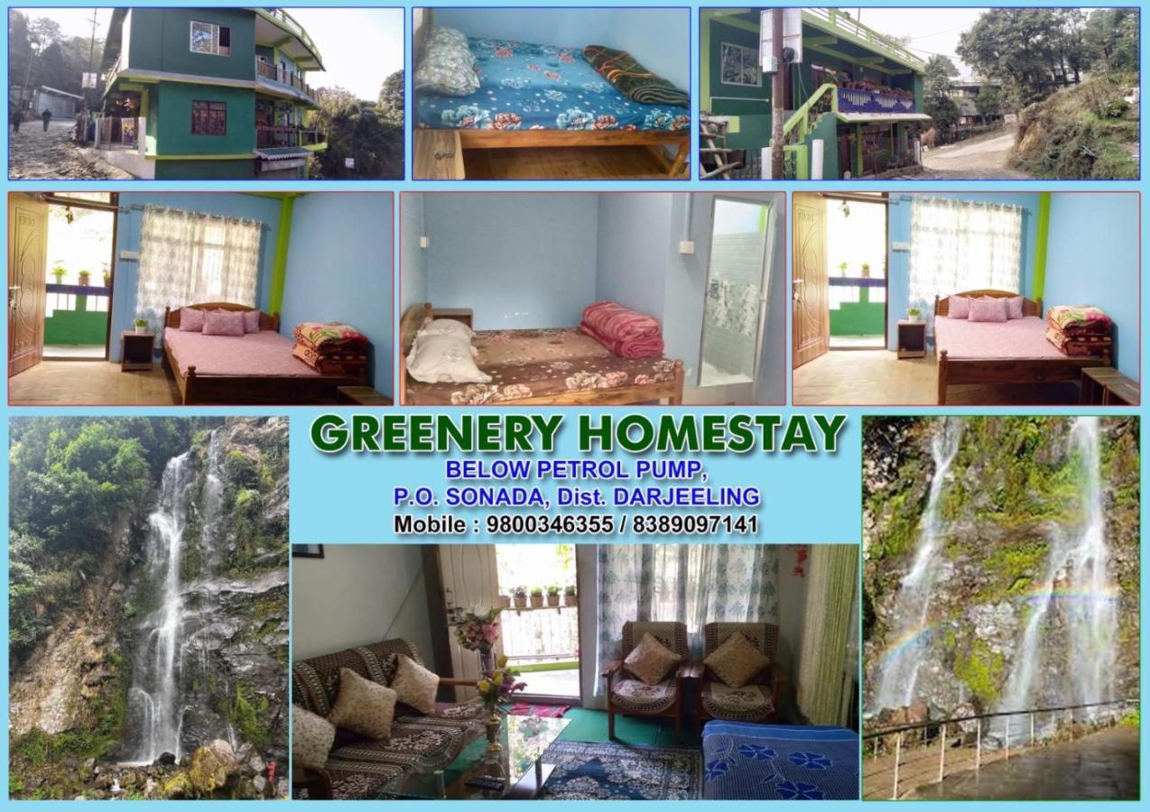 Greenery Homestay Дарджилинг Экстерьер фото